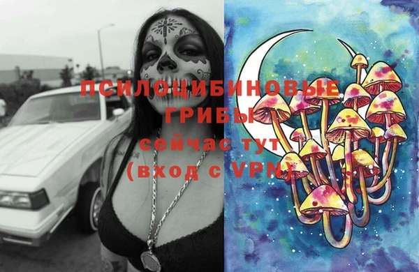 сатива Липки