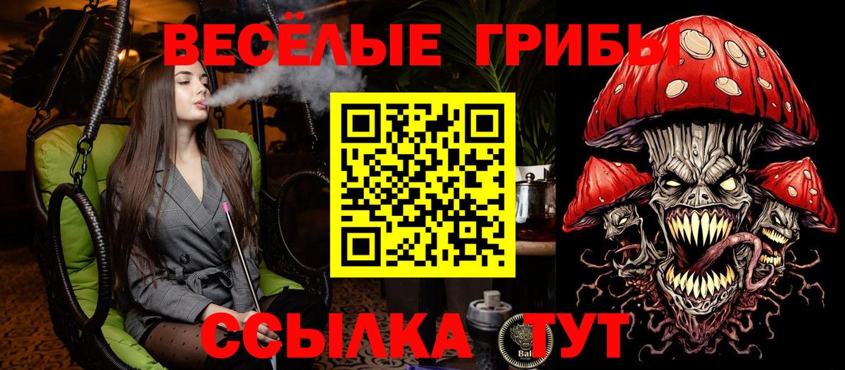 Бахчисарай  Галлюциногенные грибы GOLDEN TEACHER  Вход с VPN 